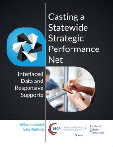 Casting a Statewide Strategic Performance Net