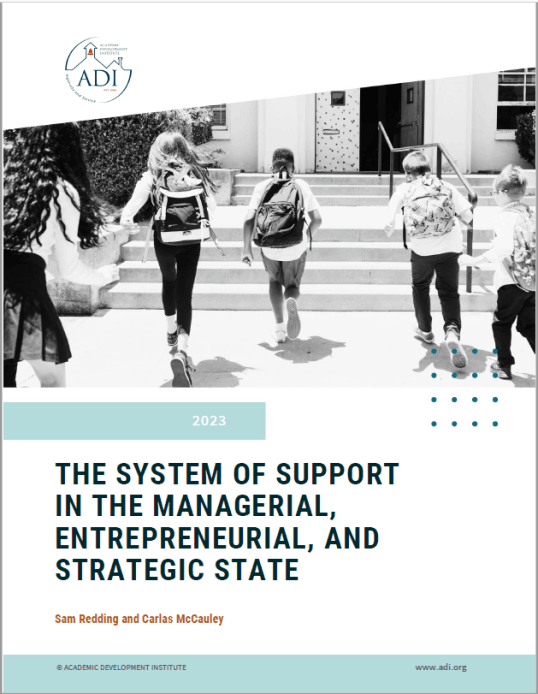 The System of Support in the Managerial, Entrepreneurial, and Strategic State